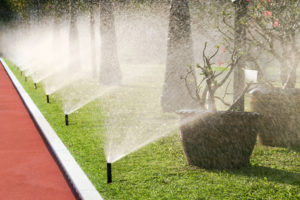 garden sprinkler system