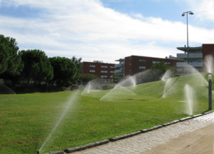 Kingwood sprinkler system