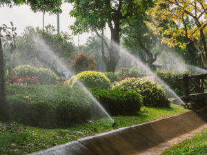 sprinkler system