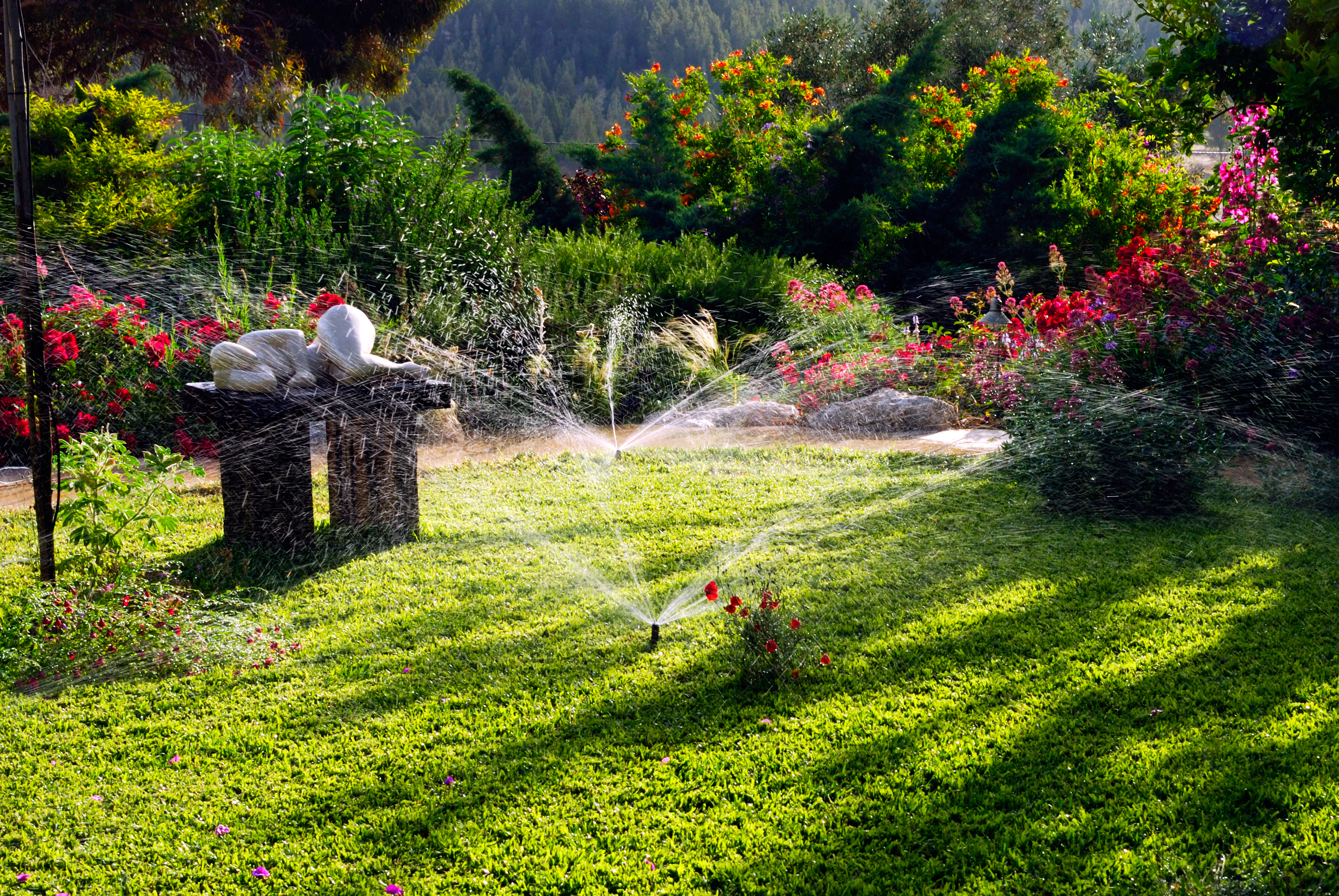 kingwood sprinkler installation